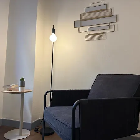 Apartamento Le Refuge Fuxéen - Centre Historique De Foix